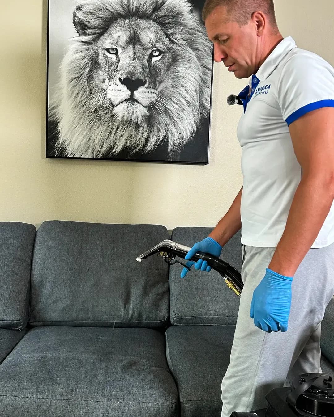 A professional cleaner with blue gloves deep cleans a grey sofa with a specialized tool.