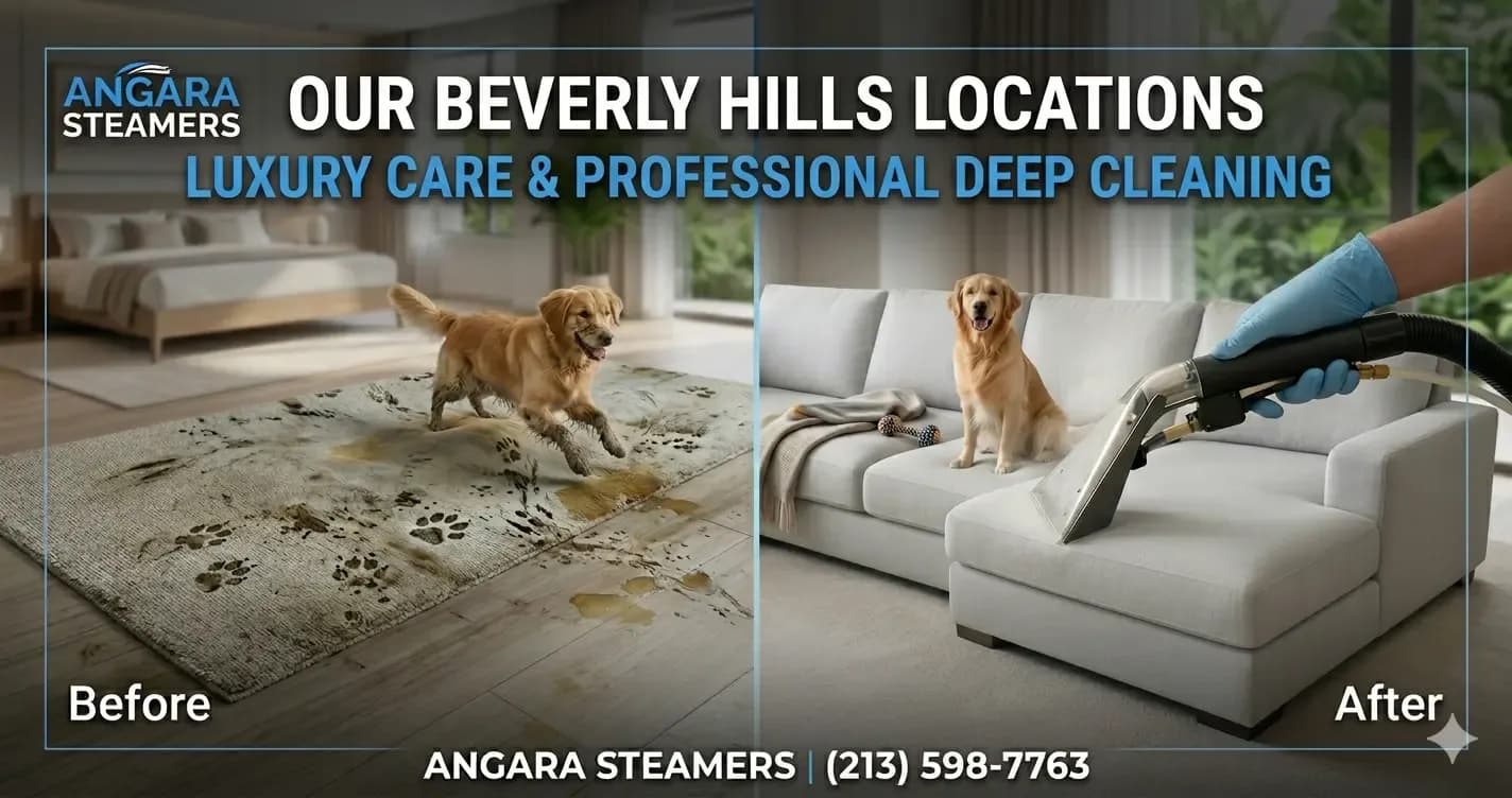 Professional upholstery cleaning