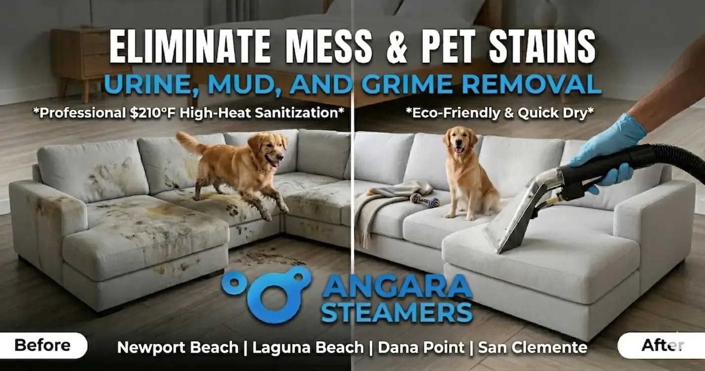 Professional upholstery cleaning