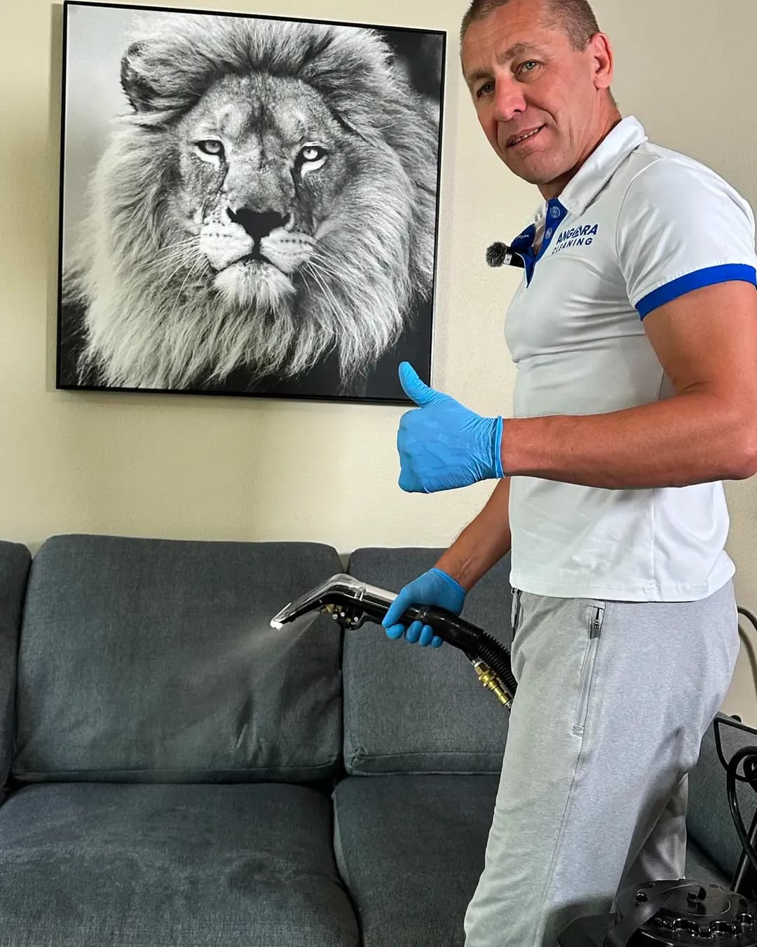 Premium Couch & Upholstery Cleaning Services | Angara Steamers